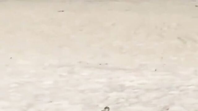 Couple Caught Having Sex On The Beach In Public In India - 5 image