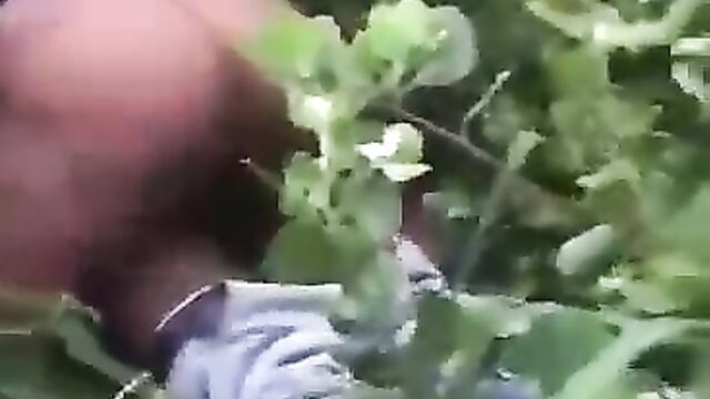 Girl With Big Nyash Caught Having Sex In The Bush In Public - 1 image