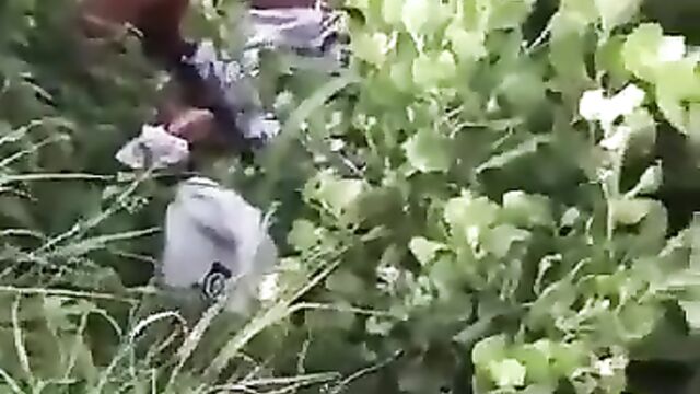 Girl With Big Nyash Caught Having Sex In The Bush In Public - 3 image