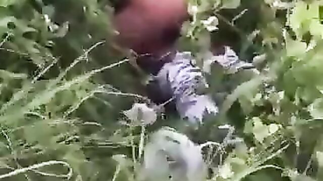 Girl With Big Nyash Caught Having Sex In The Bush In Public - 4 image