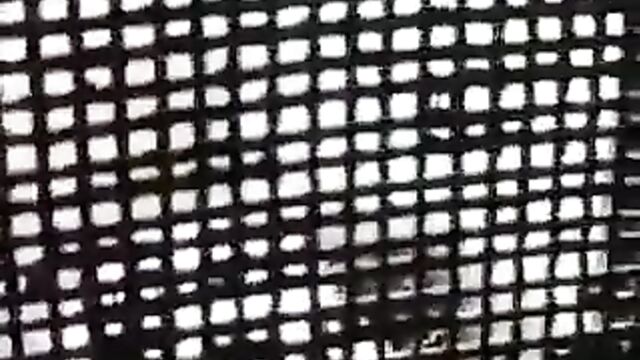 Indian Couple Caught Having Hot Doggy Style Sex Discreetly In The Backyard In Public - 4 image