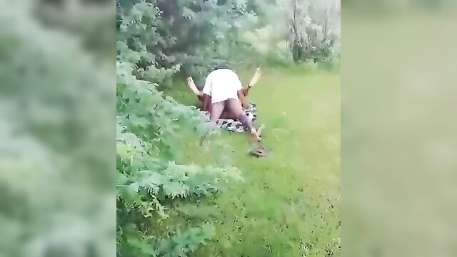 Neighbor Caught Having Sex With Busty Housewife In The Bush In Public - 1 image