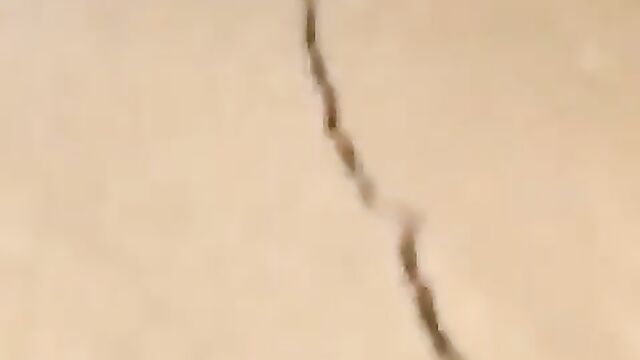 Another IG Influencer With Sweet Nipples Sex Tape Leaked By Boyfriend - 5 image