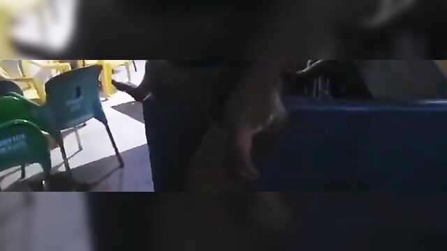 African Public Sex Party With Guys Fingering Toto And Eating Pussy Of Naked Babes In Public - 4 image