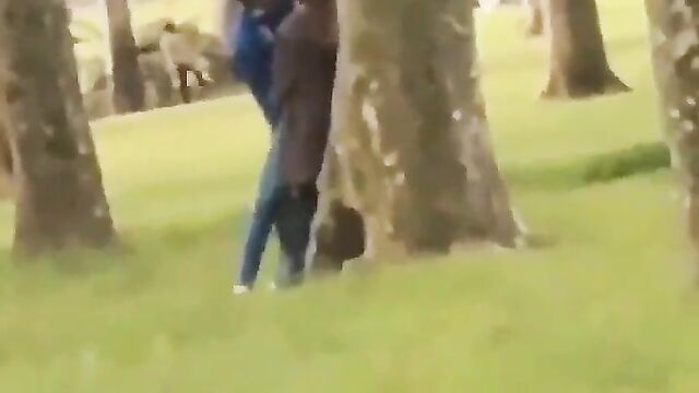 Guy Fingering Girlfriend In Public Park - 1 image