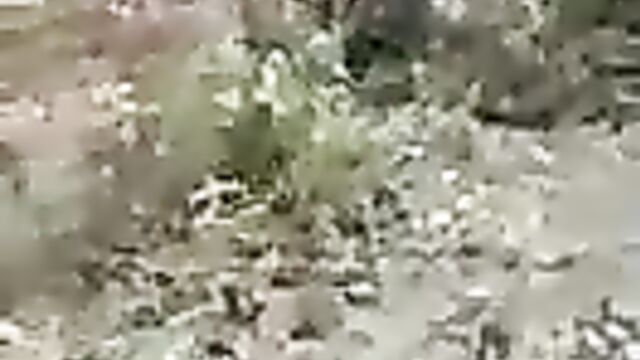 Indian Horny Couple Busted While Having Sex In Bushy Uncompleted Building In Public - 1 image