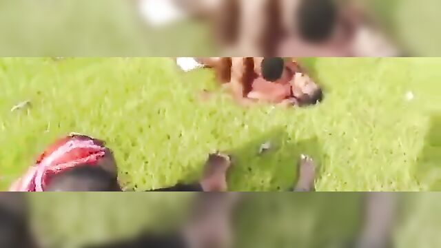 Naked Ebony Couple Caught Having Sex On Grass In Public - 1 image