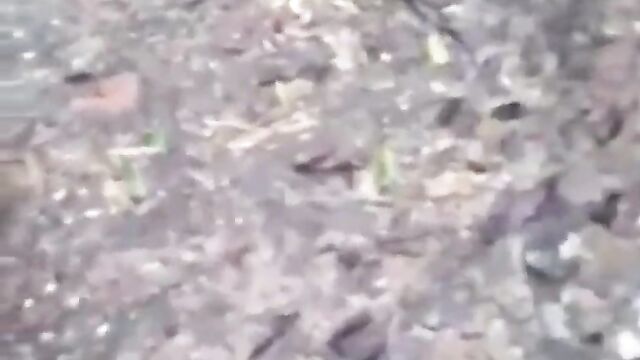 Crazy Couple Caught Having Doggy Style Sex On Car Trunk In Public In Broad Daylight - 1 image