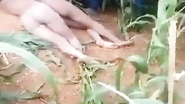 2 Naked African Women With Big Boobs And Ass Caught In The Bush In Public - 1 image