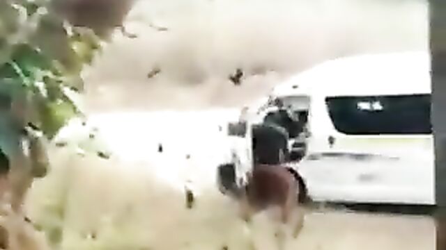 Driver Caught Having Sex With Passenger On The Highway In Public (Full Video 18+) - 1 image