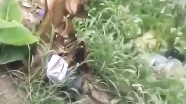 Two Nigerian Girls Fighting In A Dirty Pond Over A Boyfriend In Public - 1 image