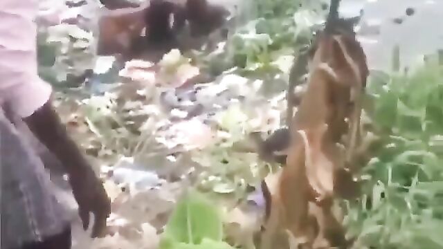 Two Nigerian Girls Fighting In A Dirty Pond Over A Boyfriend In Public