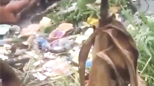 Two Nigerian Girls Fighting In A Dirty Pond Over A Boyfriend In Public - 4 image