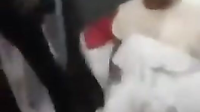 House Girl Caught Cheating With Madam’s Husband - 1 image