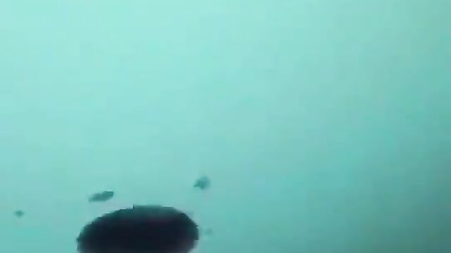 Woman burns penis of man sexually harassing her - 4 image