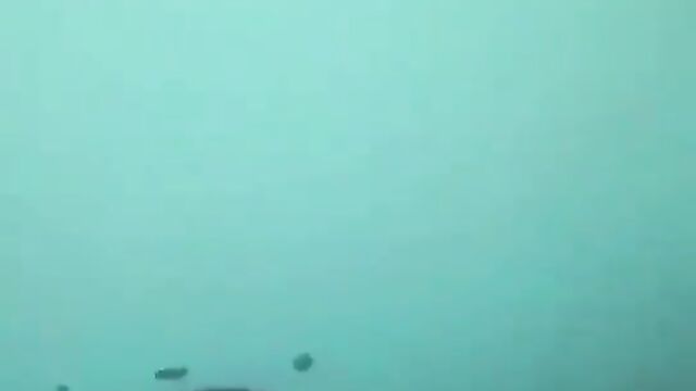 Woman burns penis of man sexually harassing her - 5 image