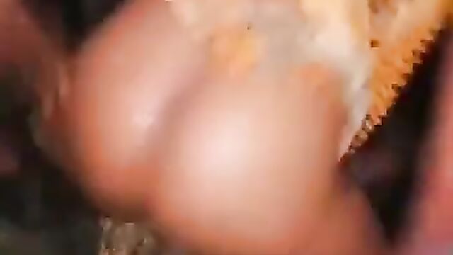 Pussy And Ass Exposed In Public As Thot Goes Wild At A Party - 4 image