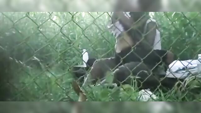 Horny Couple Caught Having Sex Inside The Bush In Public, In Limpopo, SA – Part 1 - 2 image