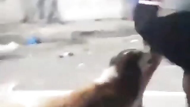 Dog exposes girl’s ass in public as she fights her boyfriend’s side chick on the street