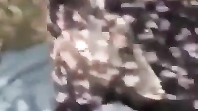 Mzansi student chopping his sugar mummy doggy style inside the bush - 3 image