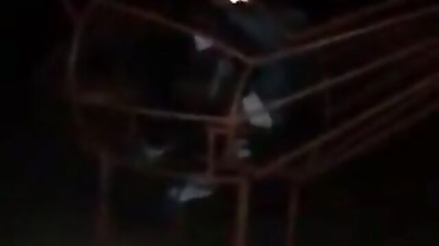 South African Couple Caught Red-handed Having Sex In Public - 1 image