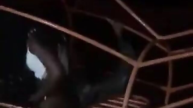 South African Couple Caught Red-handed Having Sex In Public