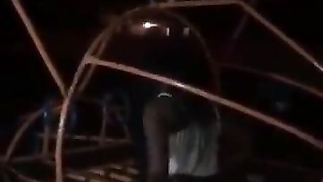 South African Couple Caught Red-handed Having Sex In Public - 3 image