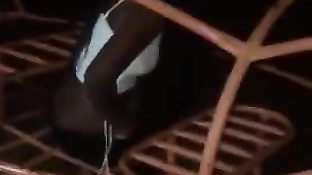 South African Couple Caught Red-handed Having Sex In Public - 5 image