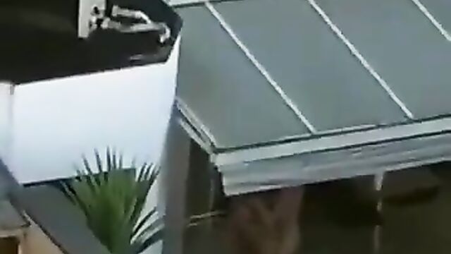 Doggy in public on the rooftop patio - 1 image