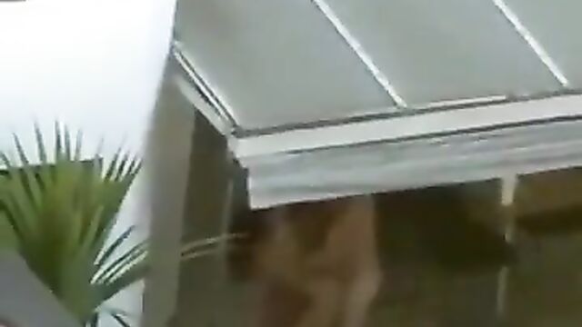 Doggy in public on the rooftop patio - 4 image