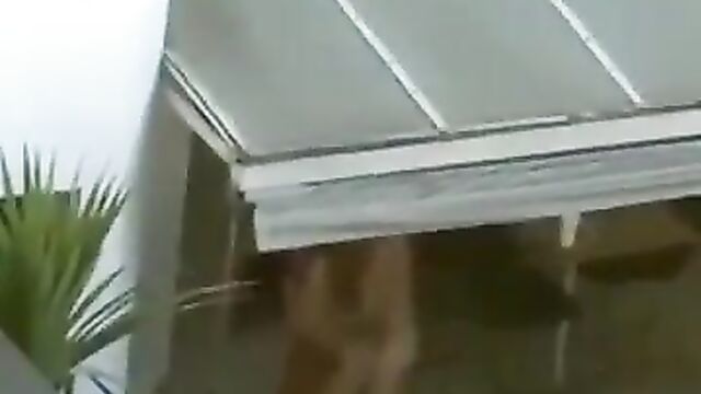 Doggy in public on the rooftop patio - 5 image