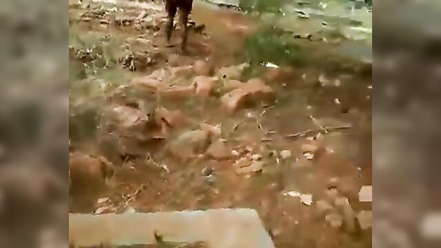 Ebony Girl Strips Naked And Goes Crazy In A Cemetery - 3 image