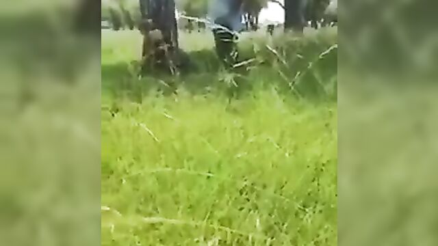 Zimbabwean Guy Caught His Boss And Whore Having Sex Inside The Bush - 5 image