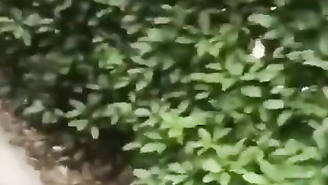School girl caught flashing her pussy in public - 4 image