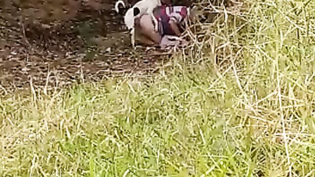 Woman doing bad things with her dog in the bush - 3 image