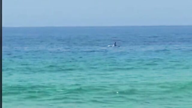 Naked couple caught having sex on a raft in public - 1 image