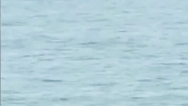 Naked couple caught having sex on a raft in public - 4 image