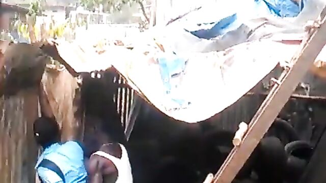 School girl bonking a dude in a shack - 5 image