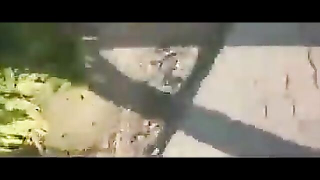 Couple caught having sex on grass - 1 image