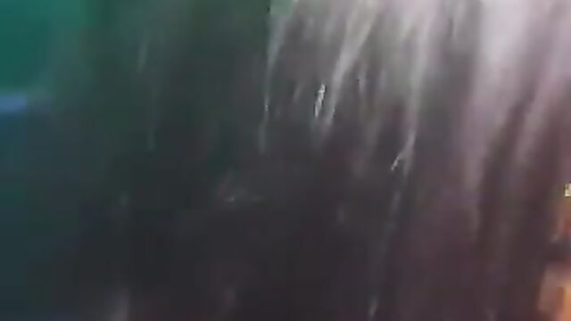 Lesbian caught sucking her girlfriend’s breast in public while dancing - 1 image