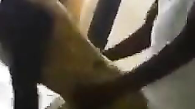 Ghanaian SHS Students Caught Doing ‘Doggy Style’ In Class - 5 image