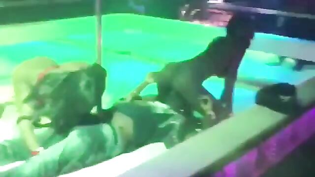 Man sucking stripper’s pussy and receiving blow job in public at the club - 3 image