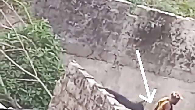 Bull tackles crazy dude banging a cow! - 5 image