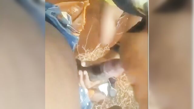 School girl was caught giving blowjob to an Uber driver - 1 image