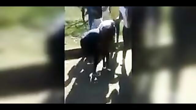 Girl fights and tries to strip her opponent naked