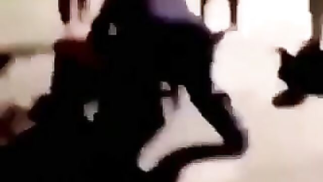 Big ass exposed as fat lady gets stripped naked in public while fighting