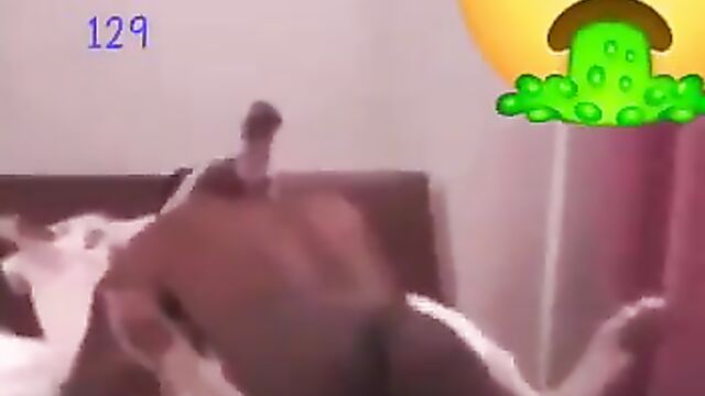 Man having sex with a dog - 1 image