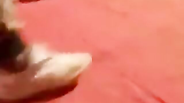 Lady rejects sex after teasing man with her naked pussy!