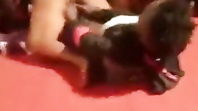 Lady rejects sex after teasing man with her naked pussy! - 3 image