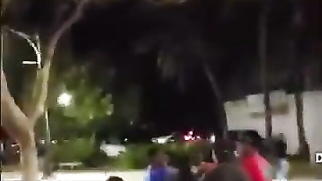 Ass & pussy exposed as thick chick fights in public - 3 image